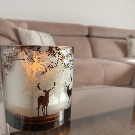 Traunapartment * Альтаусзее