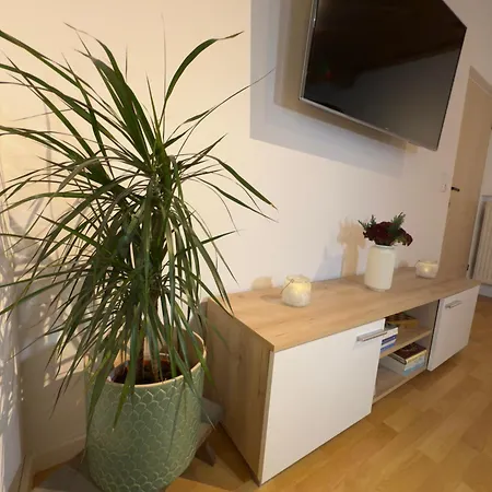 公寓 Traunapartment *
