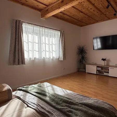 Traunapartment *