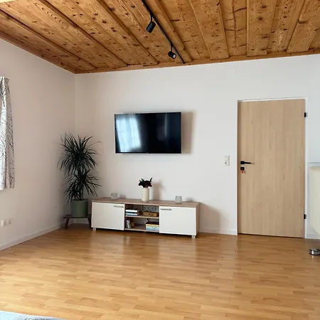 Traunapartment 公寓 *