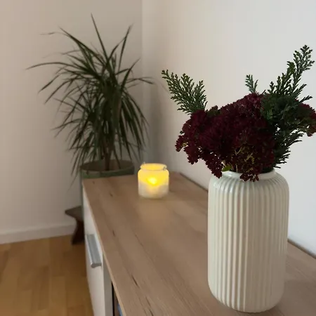 Traunapartment Апартаменты