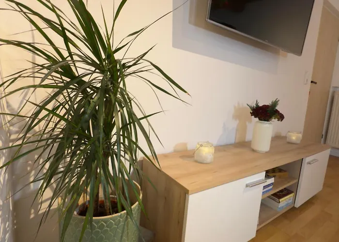 Appartement Traunapartment *