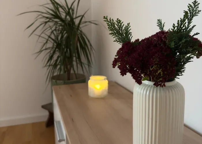 Traunapartment Appartement